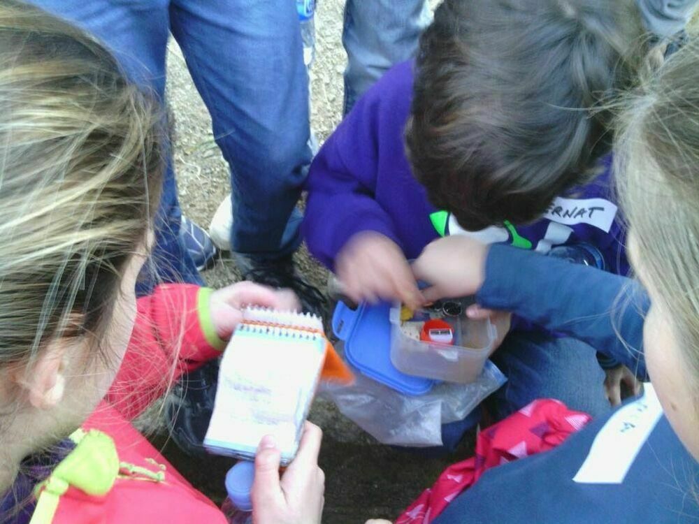 Media picture: Consell d&#39;Infants